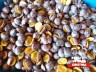 Magiun de prune cu miez de nuca (470gr)